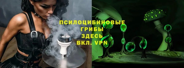 молекула духа Бугульма