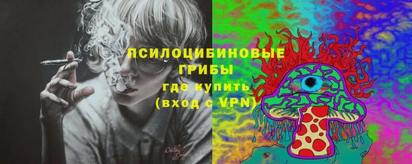 экстази Бородино